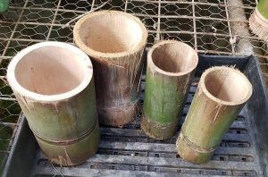 Bamboo Pots